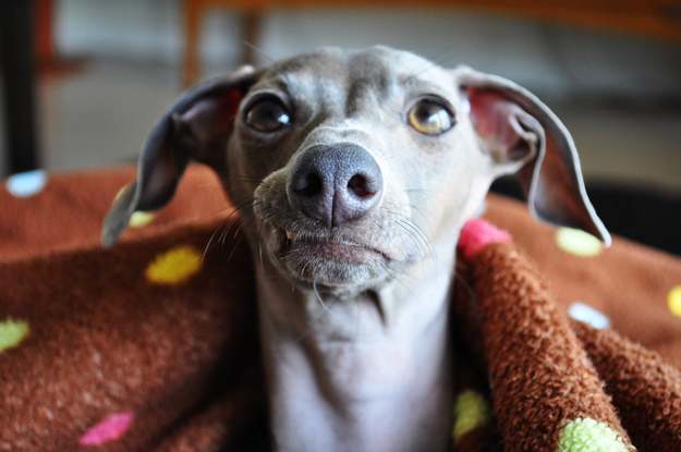 真面目な顔をしてどうしたんだい！？何か相談かい？