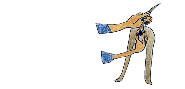 犬のグルーミング｜肛門絞り・お風呂【犬の育て方 vol.53】