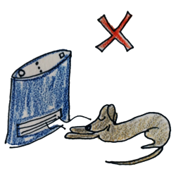 季節ごとの健康管理｜冬は防寒対策｜皮膚トラブル【犬の育て方 vol.50】