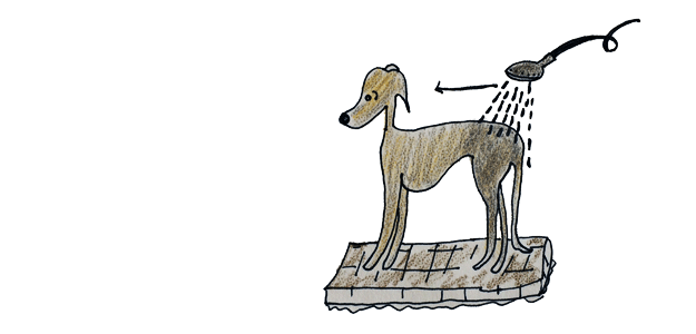 犬のグルーミング｜シャンプー・お風呂【犬の育て方 vol.52】