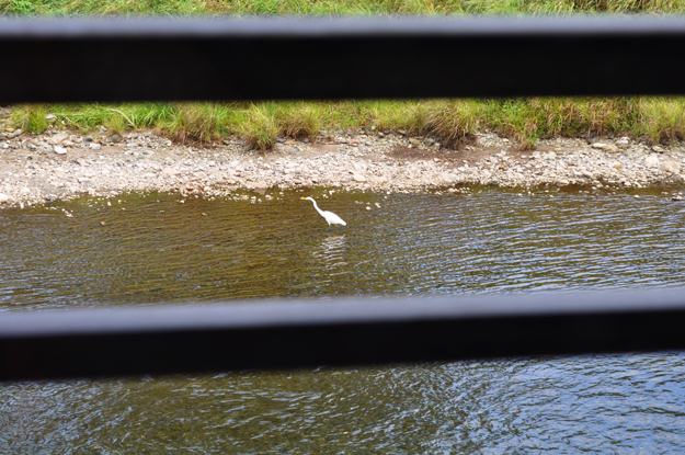 シュークリームにしよう|伊勢@五十鈴カフェ