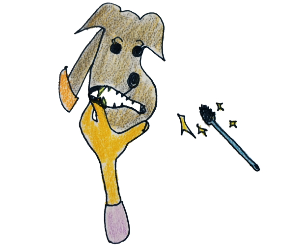 犬のグルーミング|各パーツのお手入れ・歯磨き【犬の育て方 vol.58】