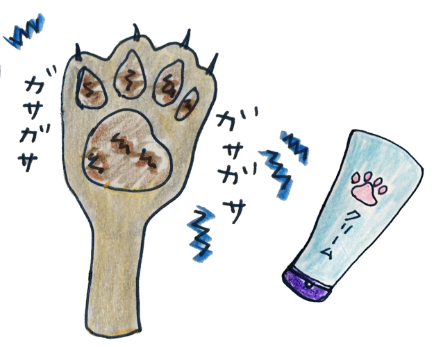 犬のグルーミング|各パーツのお手入れ・肉球【犬の育て方 vol.59】