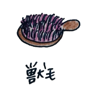 犬のグルーミング｜グルーミングとは【犬の育て方 vol.51】