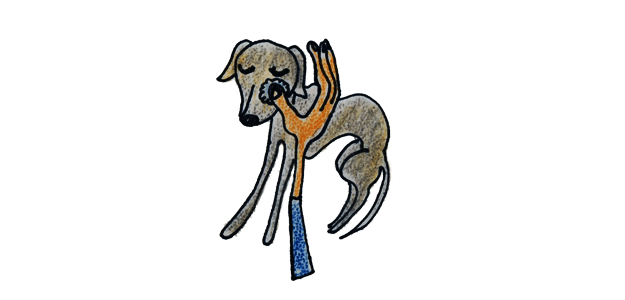 犬のグルーミング｜シャンプー・お風呂【犬の育て方 vol.52】