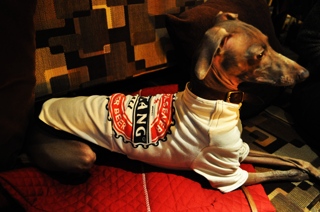 イタグレBuono!BARに行き、トイプーの一芸に驚く!