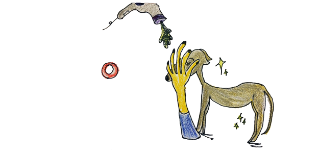 犬のグルーミング|ドライ·お風呂【犬の育て方54巻】