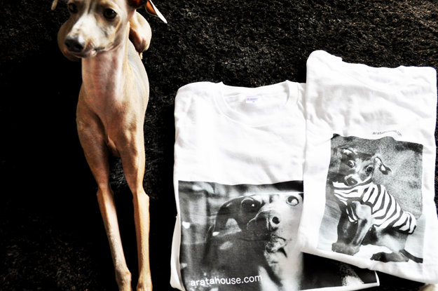 イタグレＴシャツを作ってみた！