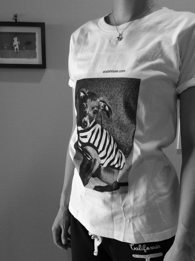 犬に服が必要な10の理由|年齢や季節に適したイタグレ服の選び方 犬に服が必要な10の理由|年齢や季節に適したイタグレ服の選び方