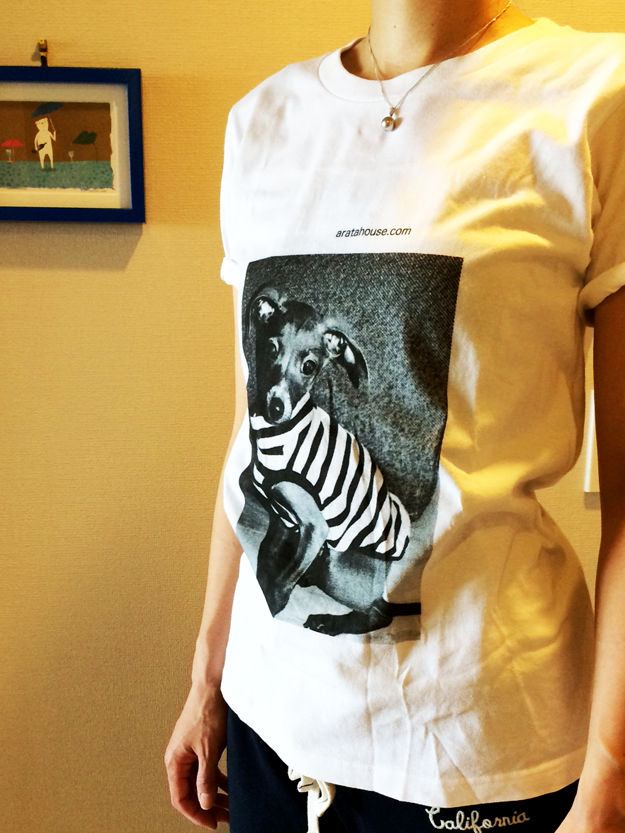 イタグレTシャツを着てみた!