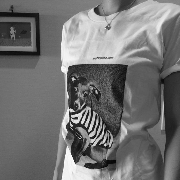 イタグレＴシャツを着てみた！