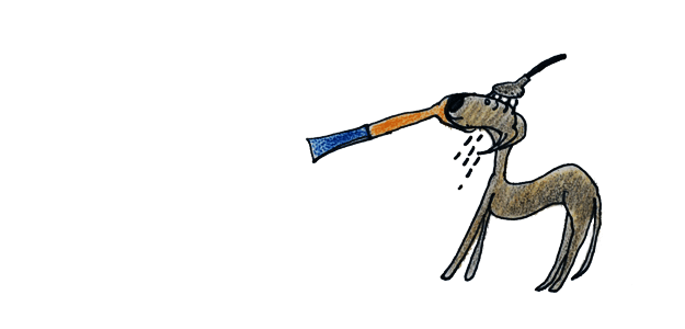 犬のグルーミング｜シャンプー・お風呂【犬の育て方 vol.52】