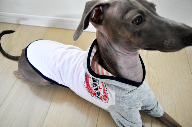 「新作」イタグレ服|春夏Tシャツにフードをつけました。