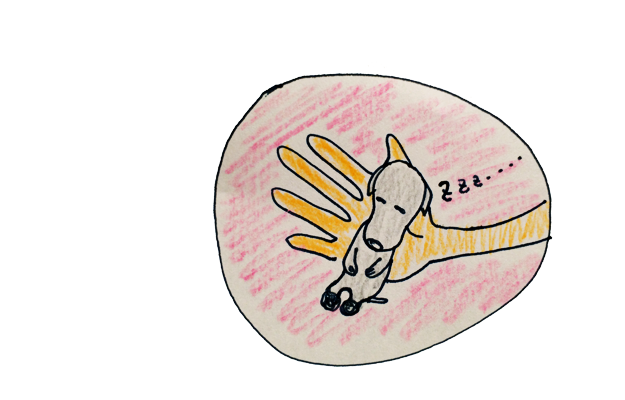 犬の人生「ライフサイクル」6つの段階①新生時期【犬の育て方 vol.40】