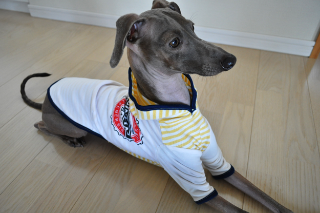 さらに春夏度をUPしたイタグレ服を作ってみた!