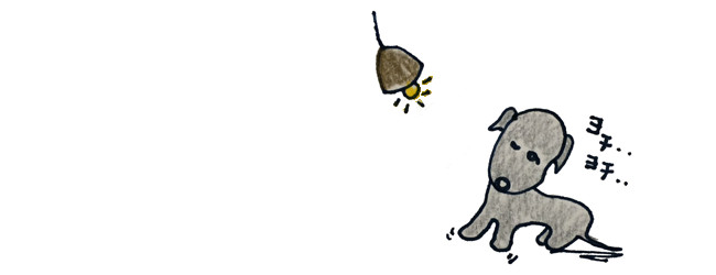 犬の成長その2｜2～3週間は移行期【犬の育て方 vol.41】