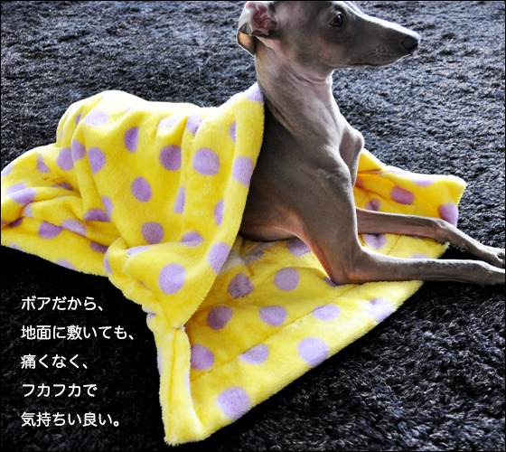 いつでもどこでも便利な寝袋｜ARATA HOUSE寝袋｜ボア薄い生地