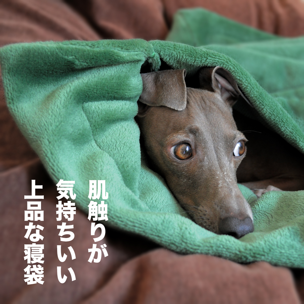 犬寝袋 肌触りが気持ちいい上品な寝袋の販売を開始ました フランネルマイヤーボア生地 選べる３カラー Arata House