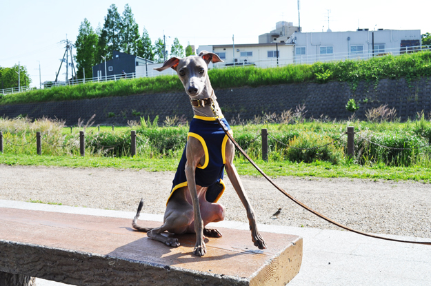 面白い話したろうか。