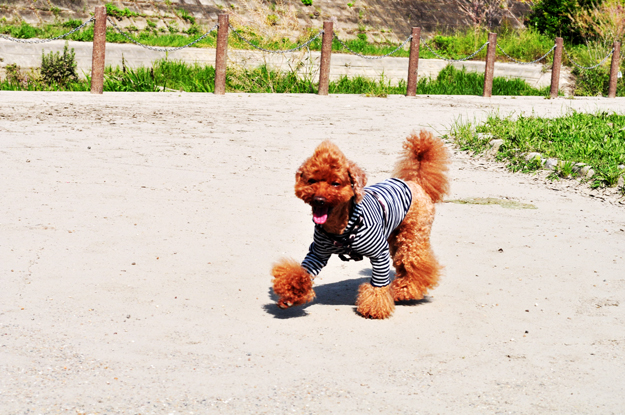 面白い話したろうか。