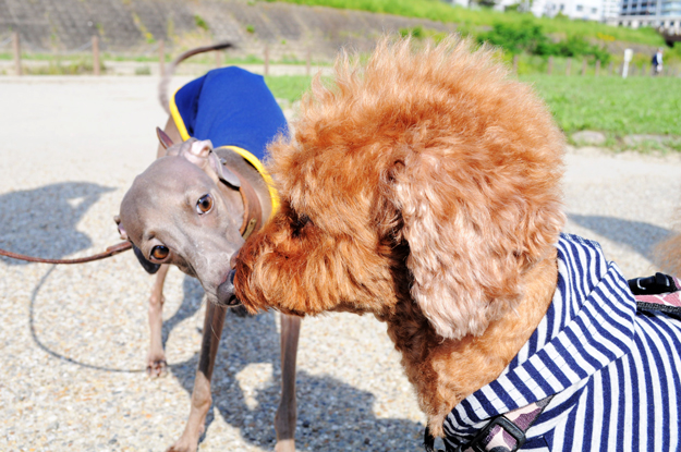 面白い話したろうか。