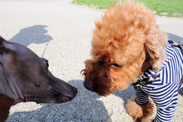 面白い話したろうか。