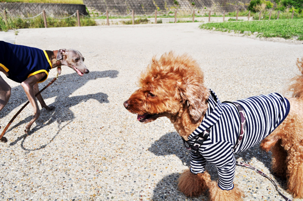 面白い話したろうか。