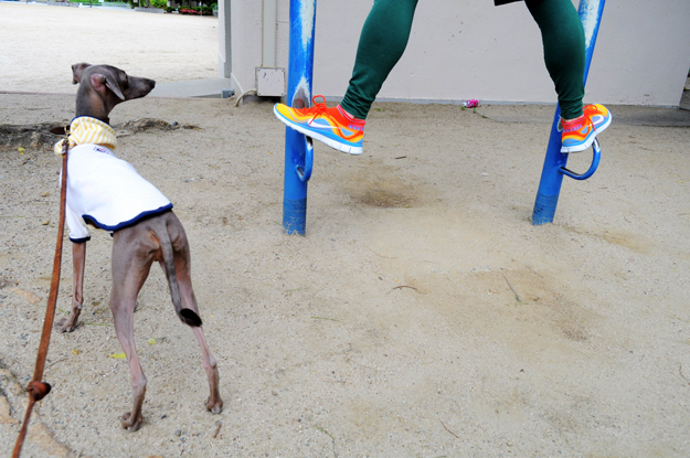 猫君曰く「犬のふんことは」らしい!