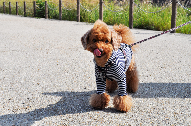 面白い話したろうか。