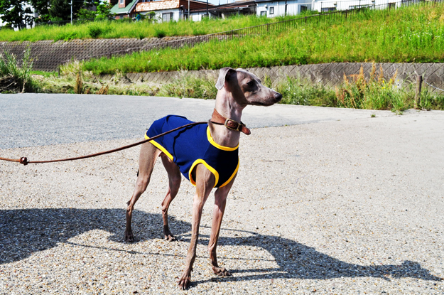 面白い話したろうか。