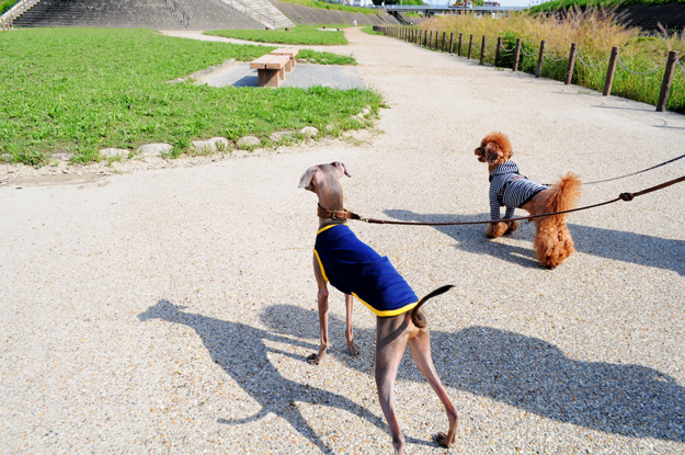 面白い話したろうか。