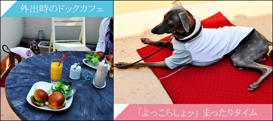 スッキリ、スマート、清潔。｜ARATA HOUSE寝袋｜キルティング薄い生地