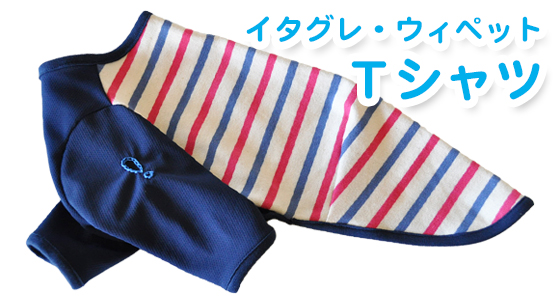 イタグレ・ウィペット用Ｔシャツ作ってみた！｜ヨットブルー＆ローズレッドボーダー