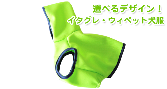 【新商品】パラキートグリーンが眩しいぜ!イタグレ・ウィペット犬服