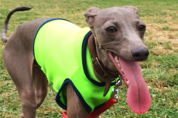 変顔をアピールしないで！