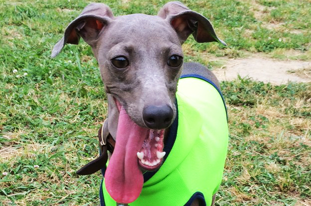 変顔をアピールしないで！