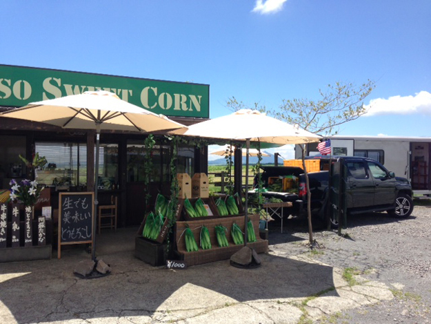 阿蘇の森さんのめっちゃ甘いトウモロコシでカルボナーラを作ってみた