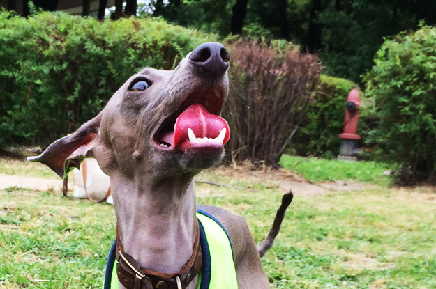 変顔をアピールしないで！