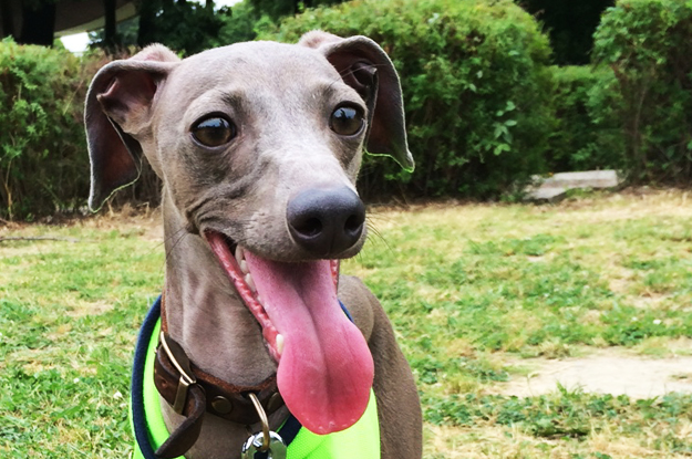 変顔をアピールしないで!