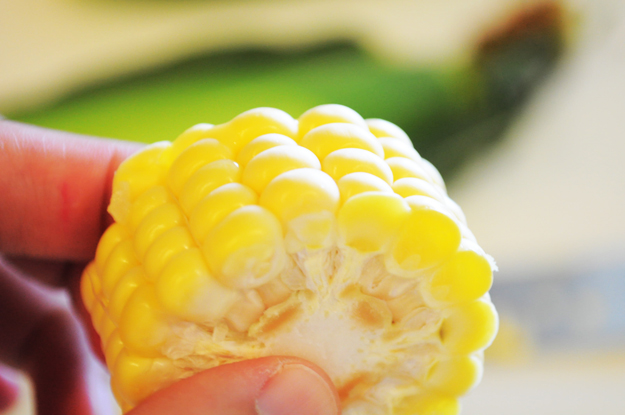 阿蘇の「とうもろこし屋」です!?