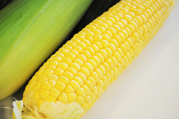 阿蘇の「とうもろこし屋」です!?