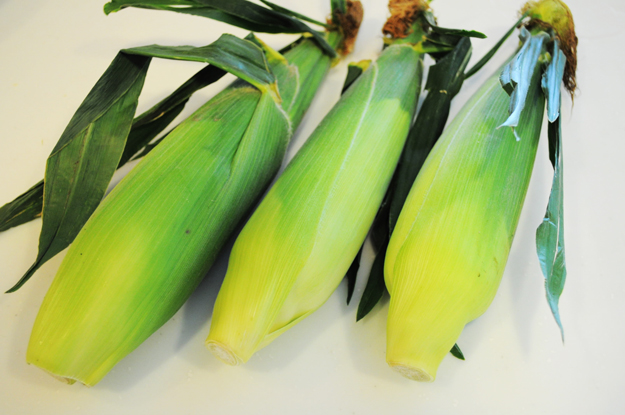 阿蘇の「とうもろこし屋」です!?