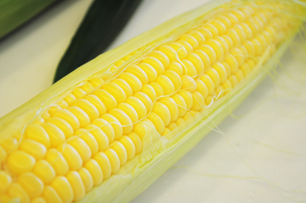 阿蘇の「とうもろこし屋」です!?