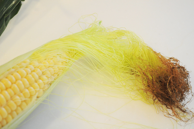 阿蘇の「とうもろこし屋」です!?