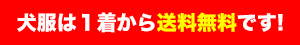 イタグレ服のサイズのこと