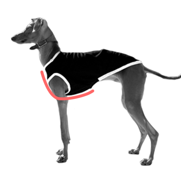 イタグレ服のサイズのこと