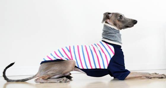 500円で使い道いろいろネックウォーマー。これ一つでオシャレも、怪我防止も、寒さ対策にも。