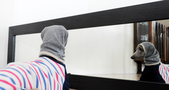 500円で使い道いろいろネックウォーマー。これ一つでオシャレも、怪我防止も、寒さ対策にも。