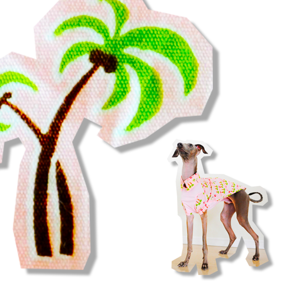 犬に服が必要な10の理由|年齢や季節に適したイタグレ服の選び方 犬に服が必要な10の理由|年齢や季節に適したイタグレ服の選び方