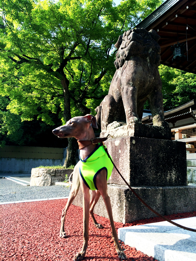 気がつけば「ショッピングサイト」をオープンして1年が過ぎていました!